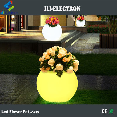 Cây trồng hoa có đèn LED có thể sạc lại
