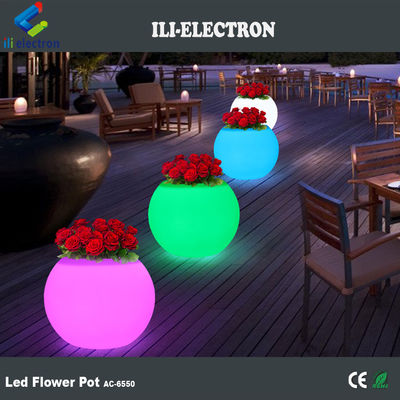 Cây trồng hoa có đèn LED có thể sạc lại