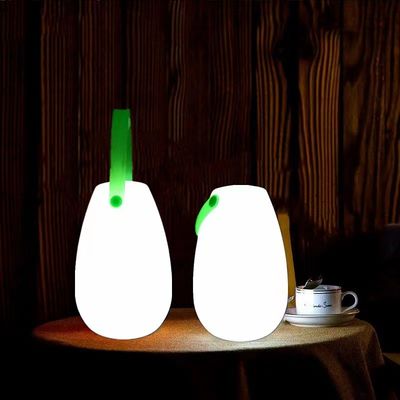 2700K CCT Đèn nhựa LED Đèn di động có thể sạc lại cho nhà hàng